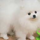 햇살가득동물병원 이미지