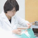 더블유치과병원 이미지