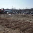 광명농장 이미지