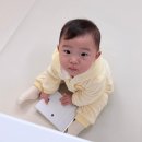 놀러가는날