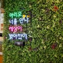 보노보카페