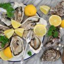 바디피트니스 이미지