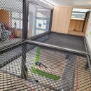 서울상원초등학교 이미지