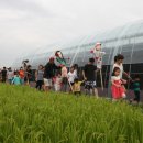 일헌농원 이미지