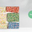 생성공간 이미지