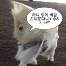 협재의바람 이미지