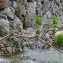 계곡에풍덩펜션캠핑장 이미지