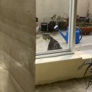 낫스소스(notssos) 이미지