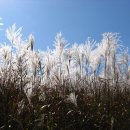 산정호수파크텔 이미지