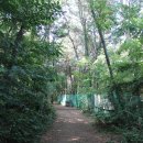 서해거북이주유소 | 대부해솔길 1코스(대부관광안내소-노을이 아름다운펜션)
