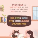 영등포 우신종합 동물병원 이미지