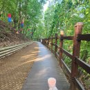 철쭉동산 | 2025년 군포 철쭉축제동산 애견 동반 후기 강아지랑 봄꽃 구경