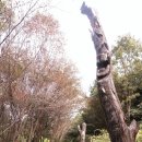 장승공원 이미지