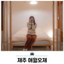 오늘도제주 | 제주 애견동반숙소 독채펜션 오늘도제주 애월오제 숙박 후기
