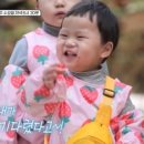 정우배농장 네이버블로그