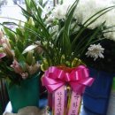 미림화원 이미지