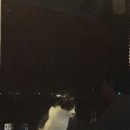 한림리조트