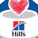 페토브 동물병원 이미지