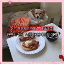 하나애견 | 차일디쉬 성수 소금빵 붕어빵 내돈내산 애견동반 카페 (붕어빵 하나 더 득템한 꿀팁 후기)