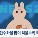 말뚝곱창루프탑점 이미지