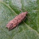 은빛축산 이미지