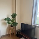 천년비자 | 제주동쪽가성비숙소 구좌 천년비자펜션 내돈내산 후기