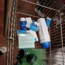 보신약국 이미지