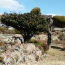 안좌초등학교 이미지