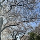 왕지마을회관 이미지