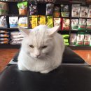 미래펫 동물병원 이미지