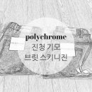 세젤마켓 이미지