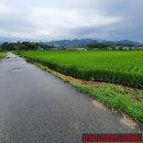 썬공인중개사합동사무소 이미지