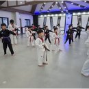 한국체대 영우태권도 | 우리 아이를 위한 최고의 태권도장 선택: 선수부 지원까지 가능한 한국체대 영우태권도