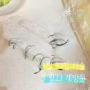 네일쉴꽃 이미지