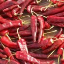 천심농장 이미지