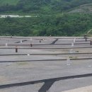 대성환경개발(주) 이미지