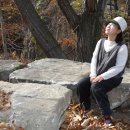 놀숲농원 이미지