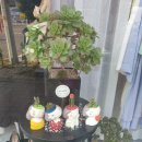 춘의신발 옷 이미지