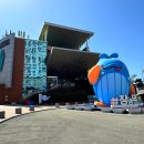 대양마트 | 울산 봄꽃 명소 매화 산수유 모노레일뷰 장생포고래문화마을 방문