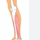 힐러명가안마원 이미지