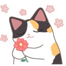 UNA네일 이미지