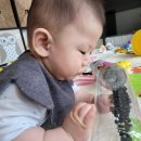 모모마트 이미지