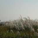 삼례두부 | [완주 가볼만한 곳] 완주 삼례문화예술촌 + 비비정 전망대