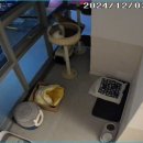 캣치유고양이미용호텔 이미지