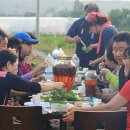 철수농장 이미지