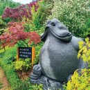 금두꺼비 이미지