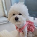 멈머링(mummuring) 이미지