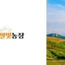 별빛아리수 이미지