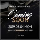 제시앤코 네이버블로그