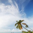 앳모스피어 이미지